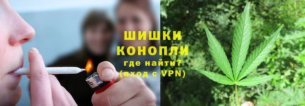 молекула духа Дмитриев