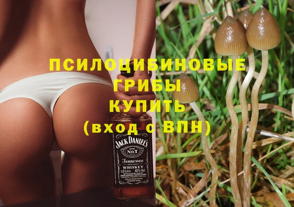 молекула духа Дмитриев