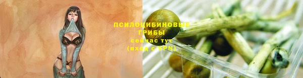молекула духа Дмитриев