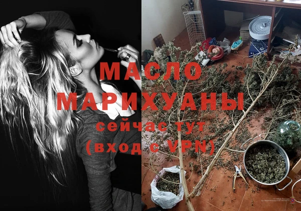 молекула духа Дмитриев