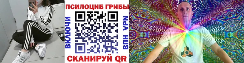 Псилоцибиновые грибы Magic Shrooms  Купить  Среднеуральск 